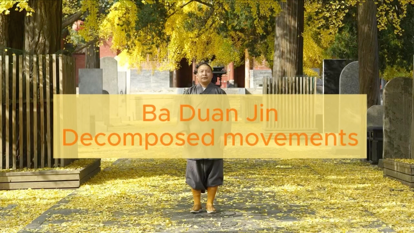 10:29 Baduanjin demonstration video with detailed breakdown and explanations(一)